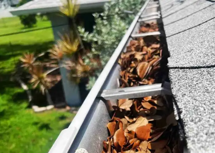 Gutter Cleaning Raytown, Mo home page