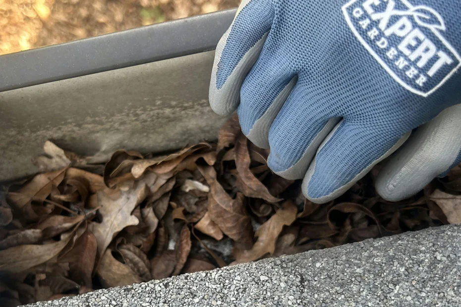 Raytown Gutter Cleaning