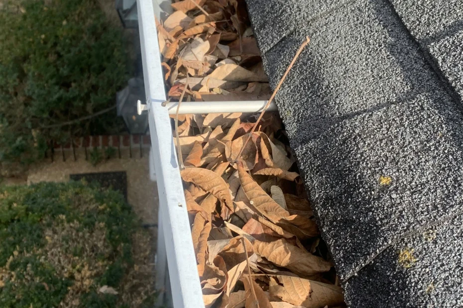 Raytown Gutter Cleaning