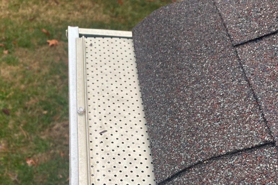 Raytown Gutter Cleaning